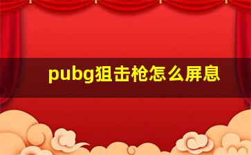 pubg狙击枪怎么屏息