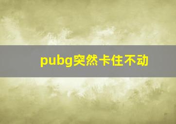 pubg突然卡住不动