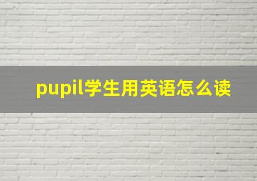 pupil学生用英语怎么读