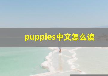 puppies中文怎么读