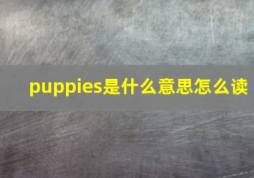 puppies是什么意思怎么读