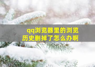 qq浏览器里的浏览历史删掉了怎么办啊