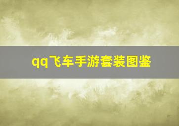 qq飞车手游套装图鉴