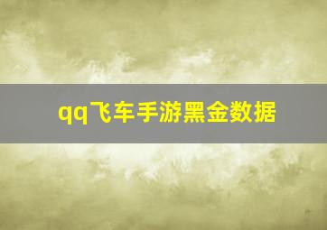 qq飞车手游黑金数据