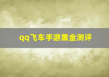 qq飞车手游黑金测评