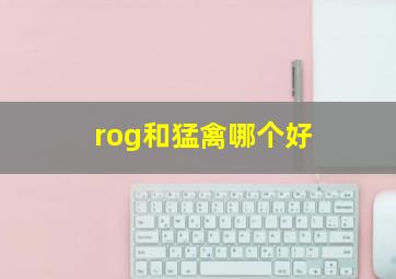 rog和猛禽哪个好