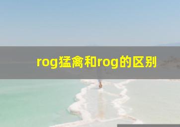 rog猛禽和rog的区别