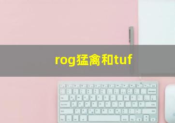 rog猛禽和tuf