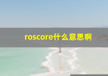 roscore什么意思啊