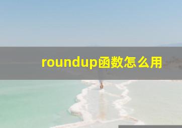 roundup函数怎么用