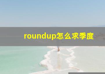 roundup怎么求季度