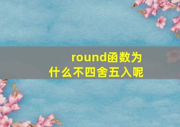 round函数为什么不四舍五入呢