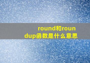 round和roundup函数是什么意思