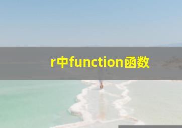 r中function函数