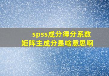 spss成分得分系数矩阵主成分是啥意思啊