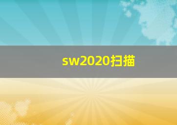 sw2020扫描