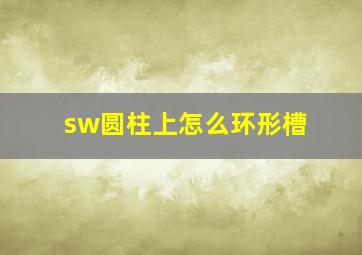 sw圆柱上怎么环形槽