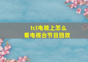 tcl电视上怎么看电视台节目回放