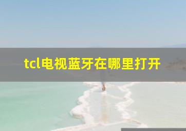 tcl电视蓝牙在哪里打开