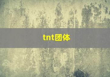 tnt团体