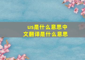 us是什么意思中文翻译是什么意思