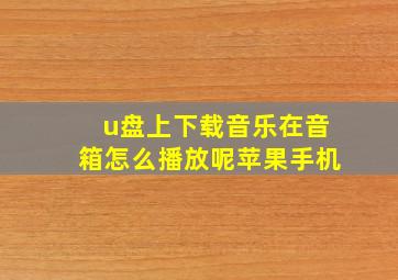 u盘上下载音乐在音箱怎么播放呢苹果手机