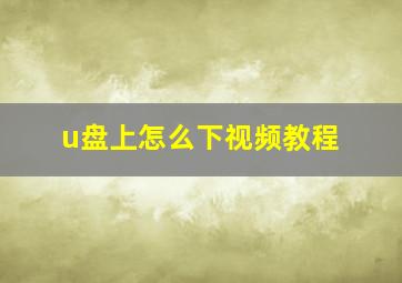 u盘上怎么下视频教程