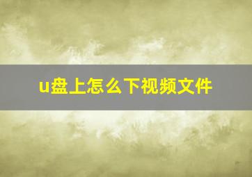 u盘上怎么下视频文件