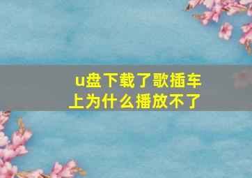 u盘下载了歌插车上为什么播放不了