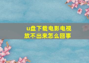 u盘下载电影电视放不出来怎么回事