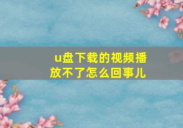 u盘下载的视频播放不了怎么回事儿