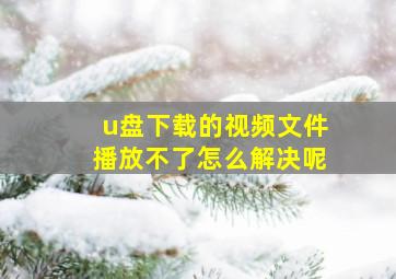 u盘下载的视频文件播放不了怎么解决呢