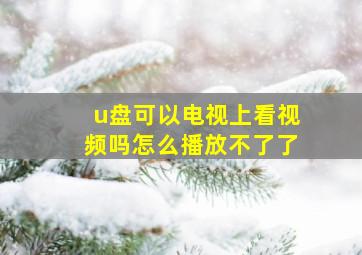 u盘可以电视上看视频吗怎么播放不了了