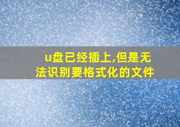 u盘已经插上,但是无法识别要格式化的文件