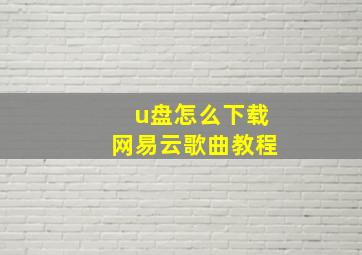 u盘怎么下载网易云歌曲教程