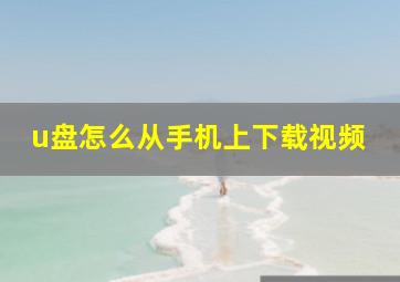 u盘怎么从手机上下载视频