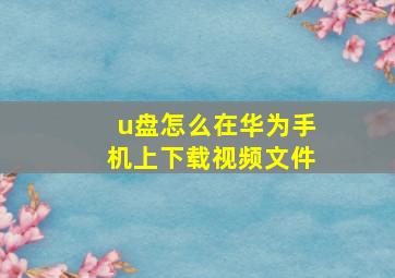 u盘怎么在华为手机上下载视频文件