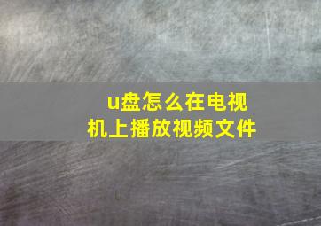 u盘怎么在电视机上播放视频文件