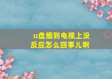 u盘插到电视上没反应怎么回事儿啊