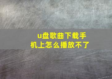 u盘歌曲下载手机上怎么播放不了