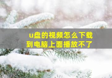 u盘的视频怎么下载到电脑上面播放不了