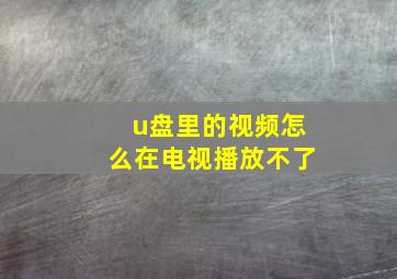 u盘里的视频怎么在电视播放不了