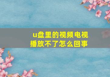 u盘里的视频电视播放不了怎么回事