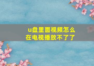 u盘里面视频怎么在电视播放不了了