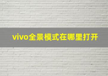 vivo全景模式在哪里打开