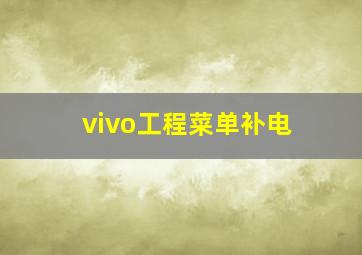 vivo工程菜单补电