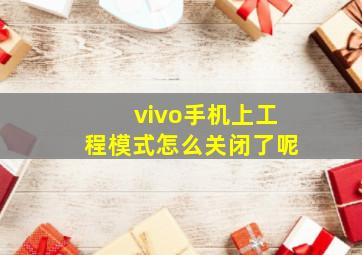 vivo手机上工程模式怎么关闭了呢