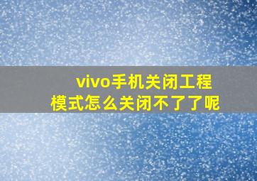 vivo手机关闭工程模式怎么关闭不了了呢