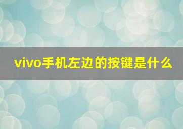 vivo手机左边的按键是什么