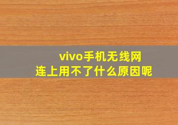 vivo手机无线网连上用不了什么原因呢